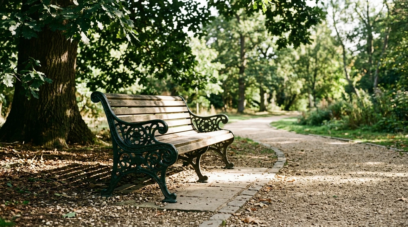 Banc à l’ombre partielle le long d’une allée de parc
